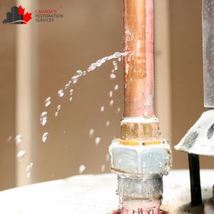 water damage toronto